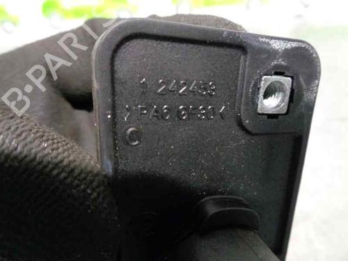 Rear right interior door handle FIAT QUBO (225_) 1.3 D Multijet (225CXB1A, 225AXB1A, 225CXB11, 225AXB11,... | BP5585508I16 