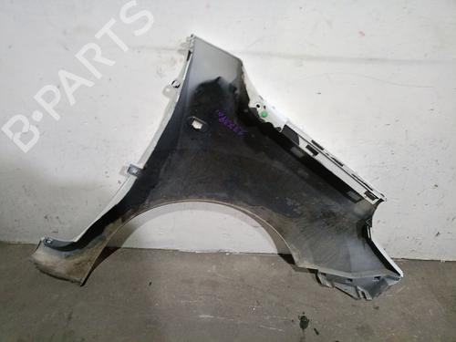 Left front fenders RENAULT KANGOO Express (FW0/1_) 1.5 dCi 75 (FW07, FW10, FW04) | BP29492470C41 