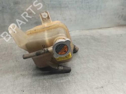 Expansion tank NISSAN X-TRAIL II (T31) 2.0 dCi 4x4 | BP7108669C120 