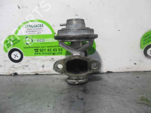 Egr SEAT INCA (6K9)  | BP2595485M69 