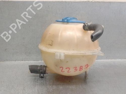 Used Expansion tank SKODA FABIA II Combi (545) 1.9 TDI (105 hp) 25240506