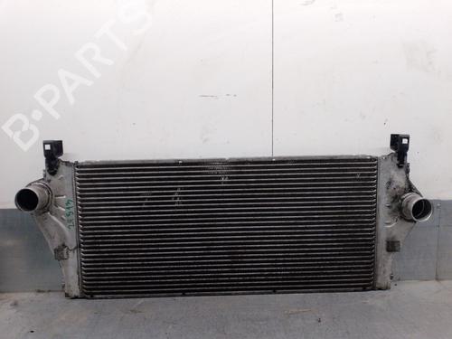 Intercooler RENAULT LAGUNA II (BG0/1_) 1.9 dCi (BG08, BG0G) (120 hp) 31929230