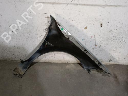 Left front fenders RENAULT MEGANE II (BM0/1_, CM0/1_) 1.9 dCi | BP27243620C41 
