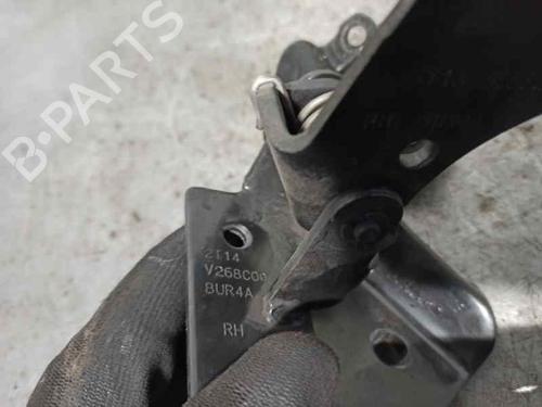 Hinge/Door check strap FORD TRANSIT CONNECT (P65_, P70_, P80_) 1.8 TDCi | BP20254342C146 