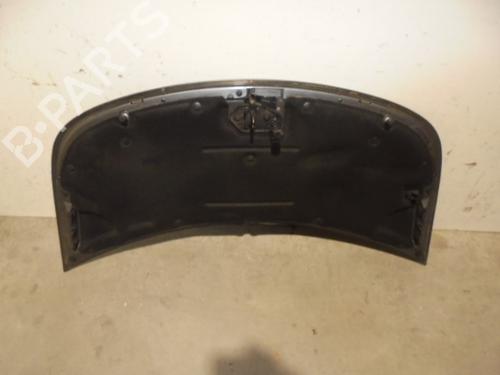 Hood SMART FORFOUR (454) 1.3 (454.031) | BP9518613C1