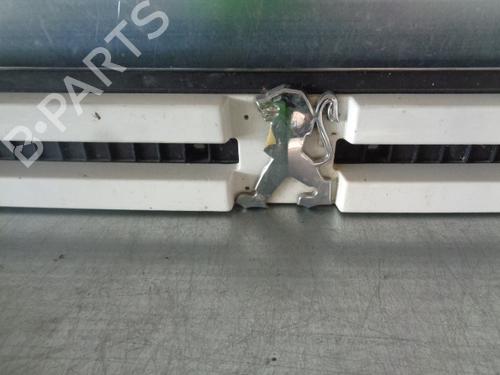 Grille PEUGEOT BOXER Bus (230P) 2.5 TDI | BP10293535C40 