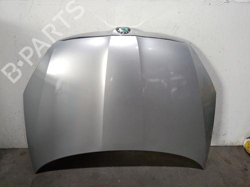 hood-skoda-fabia-ii-542-2006-2007-2008-2009-2010-2011-2012-2013-2014-38510045 main image