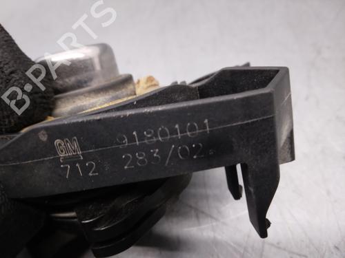 Trunk håndtak OPEL VECTRA C (Z02)  | BP15065606C132 