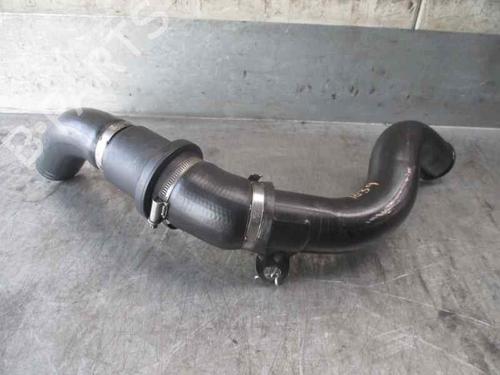Pipe FORD FOCUS I (DAW, DBW)  | BP20269003M125 