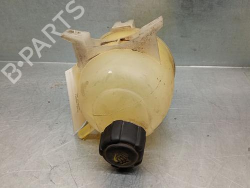 Ekspansjonstank RENAULT SCÉNIC I MPV (JA0/1_, FA0_) 1.9 dCi RX4 | BP29934619C120