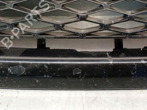 Grille LAND ROVER RANGE ROVER SPORT I (L320) 3.0 D 4x4 | BP25242101C40 