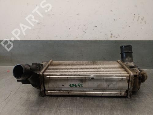 Intercooler FORD PUMA (J2K, CF7) 1.0 EcoBoost | BP29807021M30 