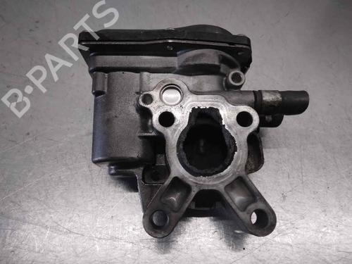 Egr NISSAN PATHFINDER III (R51)  | BP9742001M69 