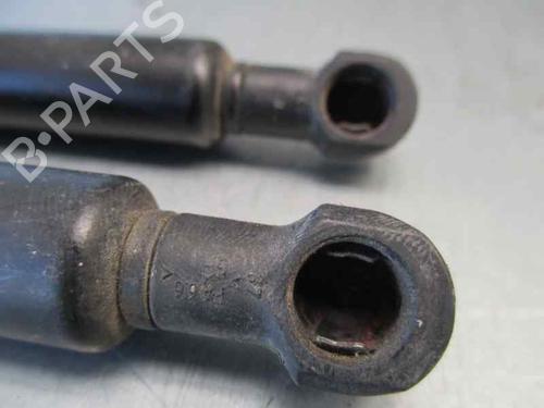 Hood lift support CITROËN XSARA (N1) 1.9 TD | BP20247563C139 