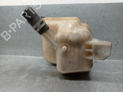 Expansion tank NISSAN QASHQAI I (J10, NJ10) 2.0 dCi | BP29030418C120 