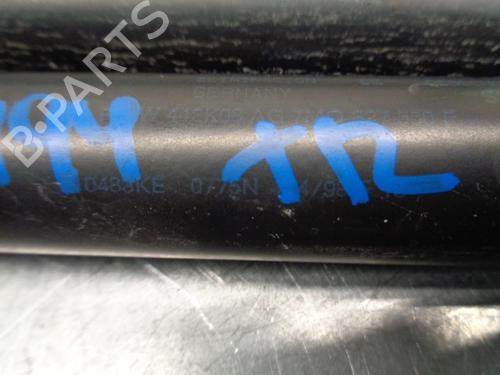 Tailgate lift support SEAT ALHAMBRA (7V8, 7V9) 1.9 TDI | BP20260481C138 