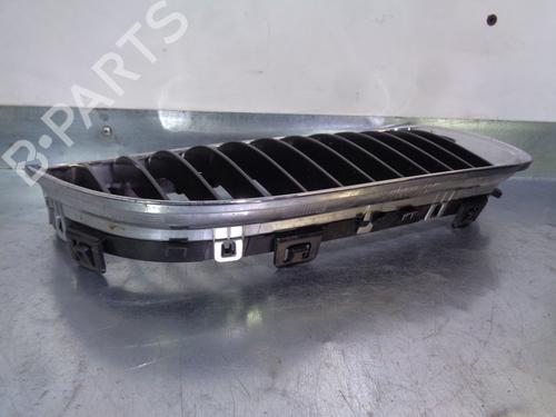 Grille BMW 3 (E90) 320 d | BP13737975C40 