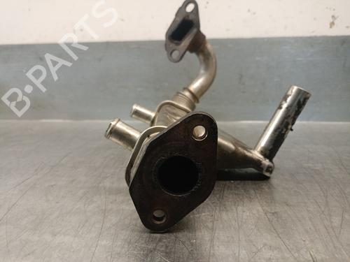 Egr NISSAN PATHFINDER III (R51) 2.5 dCi | BP29866624M69 