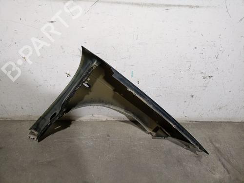 Left front fenders CITROËN C6 (TD_) 2.7 HDi | BP21580180C41 