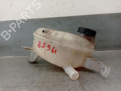 Used Expansion tank HYUNDAI IONIQ (AE) 1.6 GDI Hybrid (105 hp) 26905566