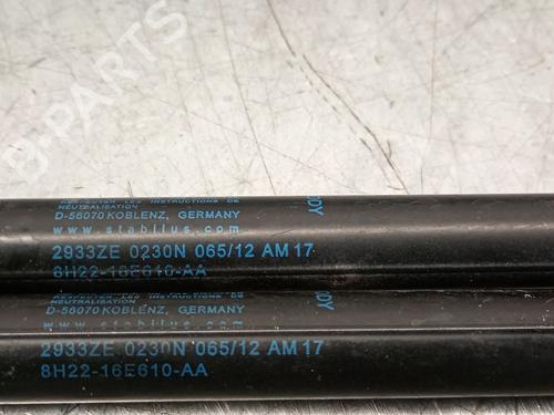 Hood lift support LAND ROVER RANGE ROVER SPORT I (L320) 3.0 D 4x4 | BP25244406C139 