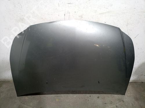 Motorhaube für SUZUKI SX4 (EY, GY) 1.9 DDiS 4x4 (RW419D) (120 hp) 22811016