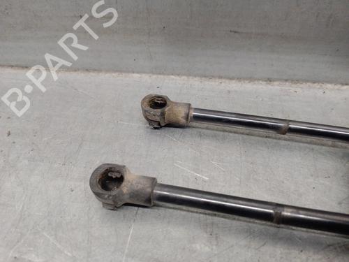 Tailgate lift support SEAT IBIZA III (6L1) 1.4 16V | BP17043479C138 