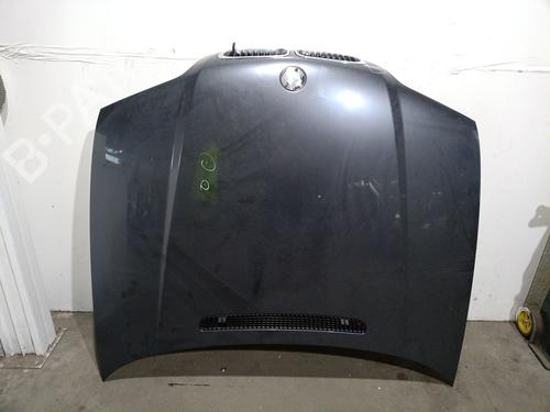 Used Hood Hood BMW 3 (E46) 320 d (136 hp) 33246559 33246559
