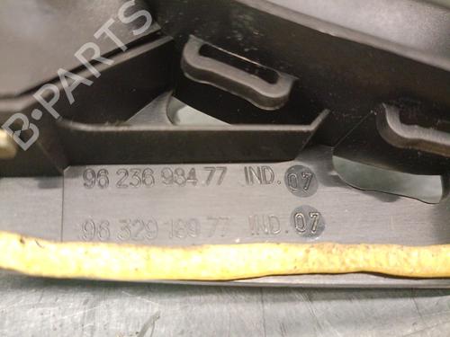 Maniglia interna anteriore sinistra PEUGEOT 206 Hatchback (2A/C) 1.4 HDi eco 70 | BP30743339I13