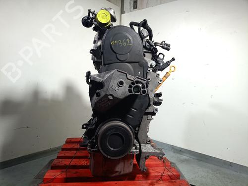 Motor VW GOLF IV (1J1) 1.9 TDI (110 hp) 31330356