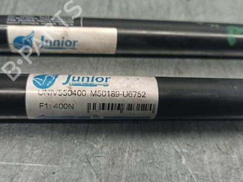 Tailgate lift support NISSAN X-TRAIL I (T30) 2.2 dCi 4x4 | BP20257984C138 