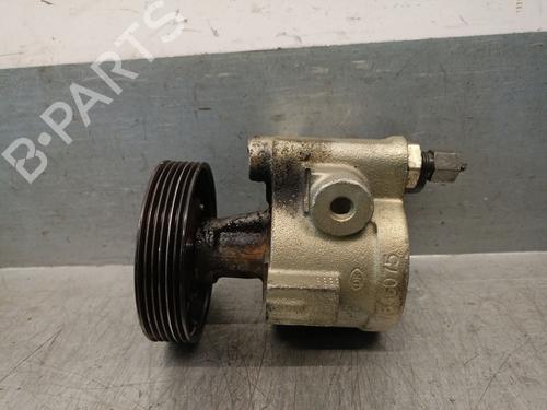 Servopumpe für RENAULT SCÉNIC I MPV (JA0/1_, FA0_) 1.9 dCi RX4 (102 hp) 29977601