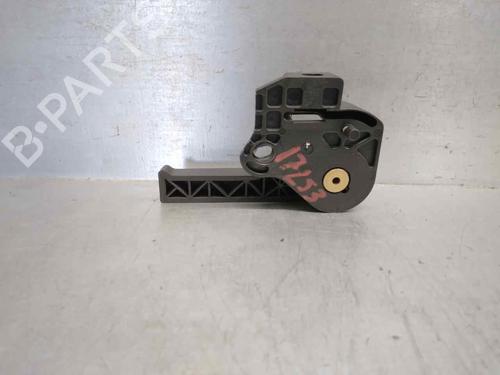 Front left interior door handle LAND ROVER RANGE ROVER SPORT I (L320) 2.7 D 4x4 | BP13010252I13 