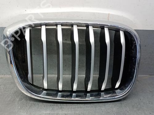 Used Grille BMW X3 (G01, F97, G08) xDrive 20 d Mild-Hybrid (190 hp) 28132920