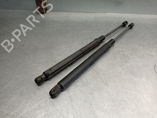 Hood lift support MERCEDES-BENZ R-CLASS (W251, V251) R 350 CDI 4-matic (251.124, 251.125) | BP21021078C139 