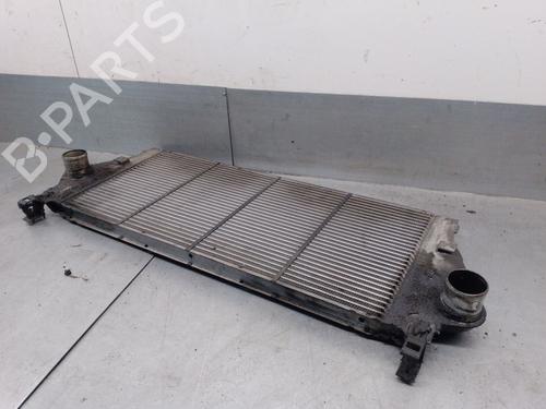 Intercooler RENAULT LAGUNA II (BG0/1_) 1.9 dCi (BG08, BG0G) | BP29604561M30 