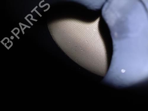 Catalyst RENAULT MEGANE II (BM0/1_, CM0/1_) 1.5 dCi (BM02, BM13, BM2A, CM02, CM13) | BP29260346M10