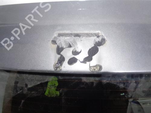Tailgate VW POLO V (6R1, 6C1) 1.6 TDI | BP11951245C6 