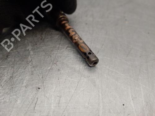 Electronic sensor FIAT FIORINO Box Body/MPV (225_) 1.3 D Multijet (225BXD1A, 225BXB1A, 225BXB11) | BP16908975M84