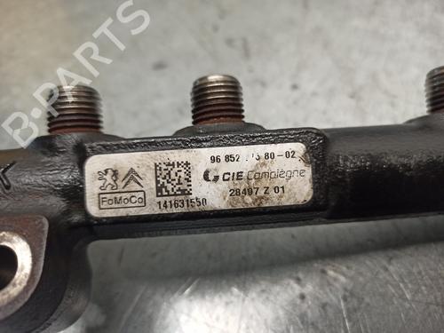 Used Injection rail Injection rail CITROËN C3 II (SC_) 1.4 HDi 70 (SC8HZC, SC8HR0, SC8HP4) (68 hp) 17959169 17959169