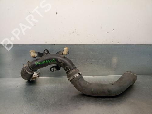 Used Pipe Pipe NISSAN JUKE (F15) 1.2 DIG-T (115 hp) 24448720 24448720