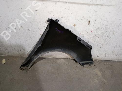 Left front fenders RENAULT SCÉNIC III (JZ0/1_) 1.5 dCi | BP27506446C41 
