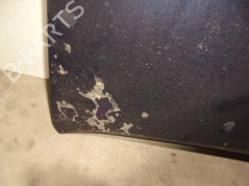 Hood CITROËN C5 II (RC_) 2.0 HDi (RCRHRH) | BP9147557C1 