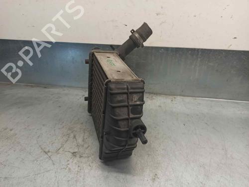 Intercooler LANCIA MUSA (350_) 1.3 D Multijet (350.AXG11, 350.AXG1A) | BP6990303M30 