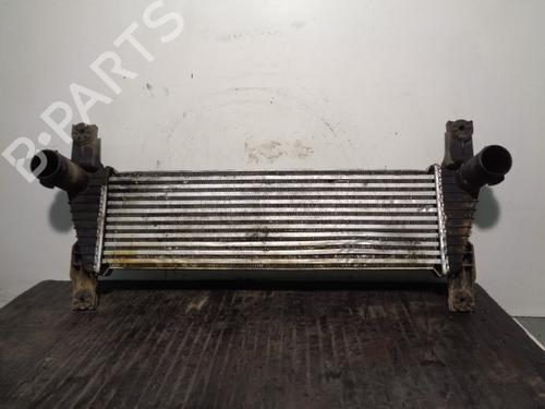 Intercooler FORD RANGER (TKE) 2.2 TDCi (160 hp) 13487909