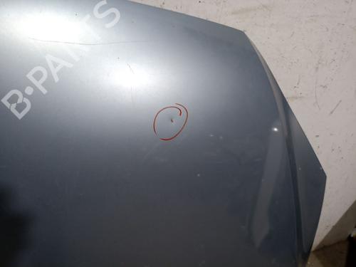 Hood FORD FOCUS II (DA_, HCP, DP) 1.6 | BP24917019C1 