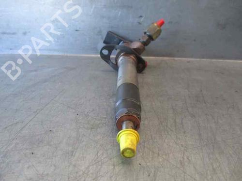 Injector LAND ROVER RANGE ROVER SPORT I (L320) 2.7 D 4x4 | BP6875085M100 