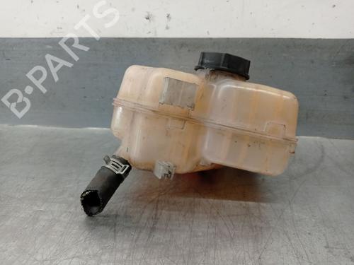Used Expansion tank FORD B-MAX (JK) 1.6 TDCi (95 hp) 28812831