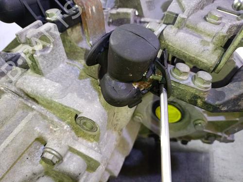 Gearbox FIAT PUNTO (199_) 1.3 D Multijet | BP27628544M3 