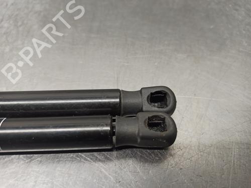 Tailgate lift support FORD FOCUS II (DA_, HCP, DP)  | BP17364487C138 
